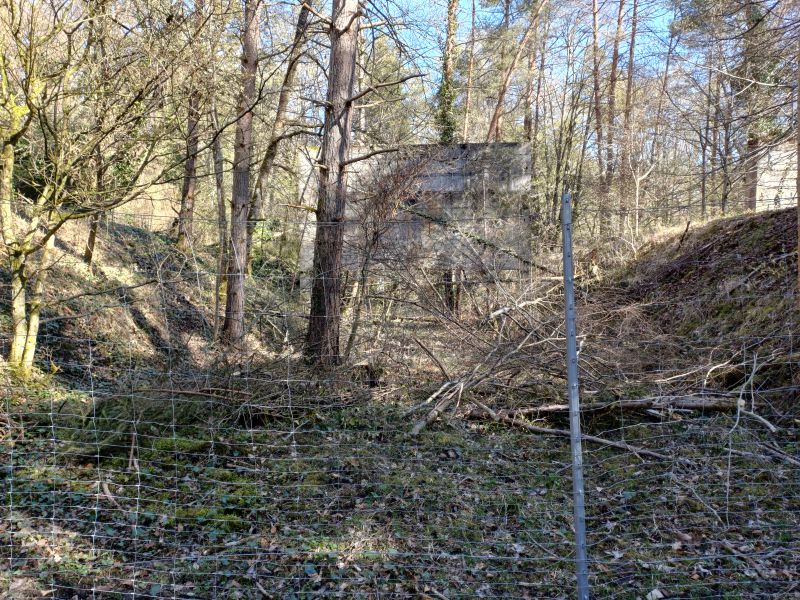 Absperrzaun Langbahnen   April 2026